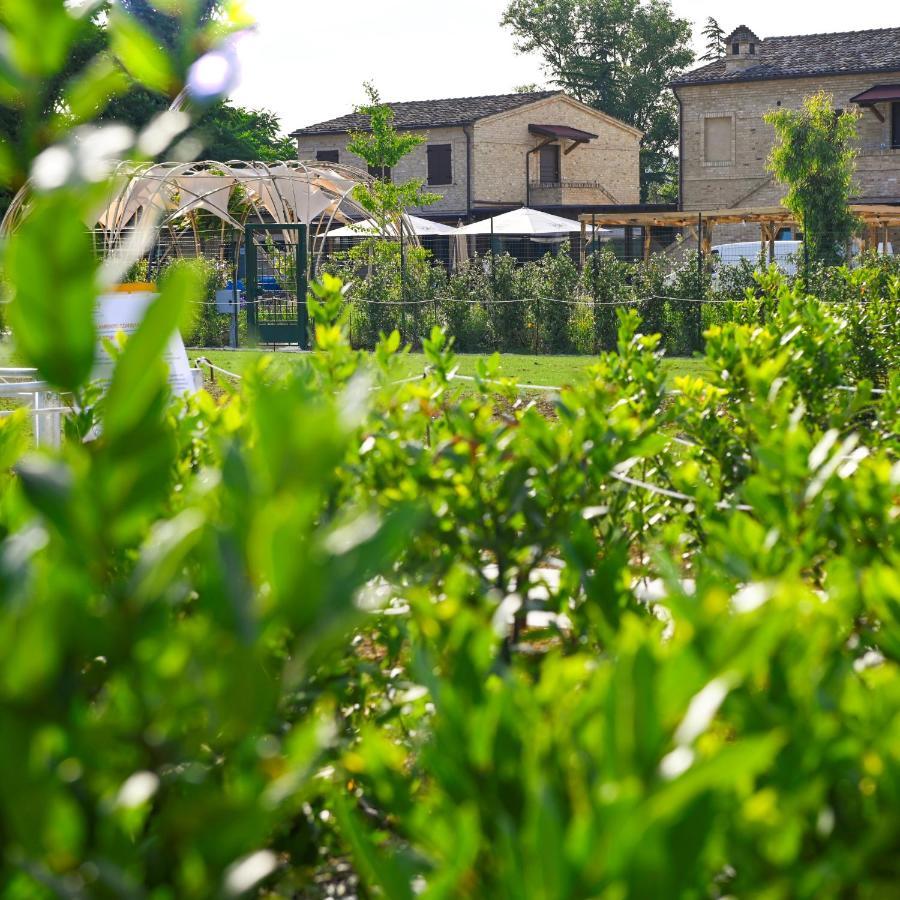 Moretti Village - B&B Чивитанова Марке Екстериор снимка